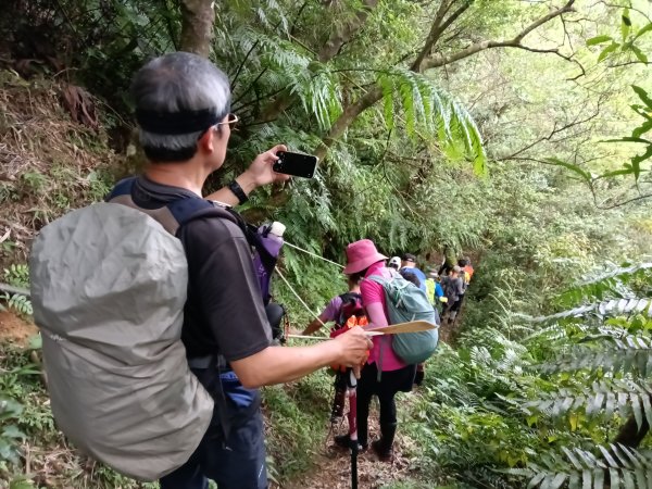 雙溪區大湖尾古道+灣潭古道O型2874802