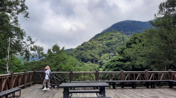 《苗栗》短美清幽｜二本松山丸田砲臺遺址及巨人之手202407202555119