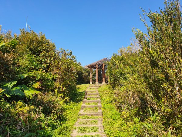 帽子山步道1237743