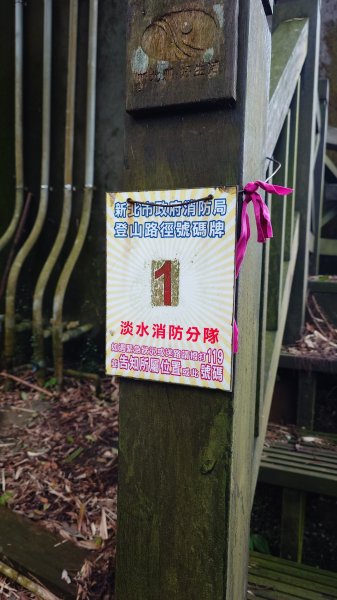 20260125 陽明山前後山健行(無極天元宮~山仔頂步道.向天池.向天山.面天山.二子坪)2997942