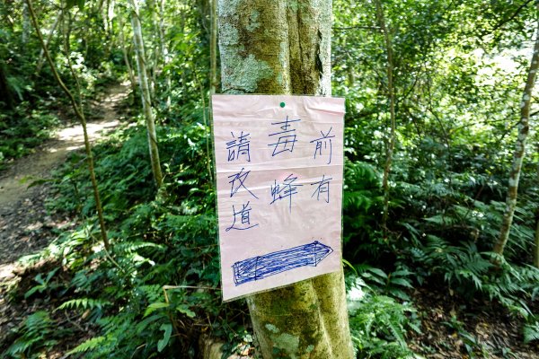 溪洲山小百岳｜福山巖登山步道2898899