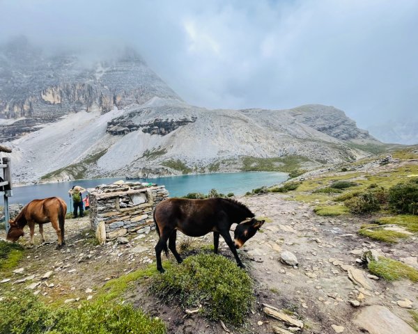 川藏33天深度之旅💙#稻城亞丁-來古冰川2901869