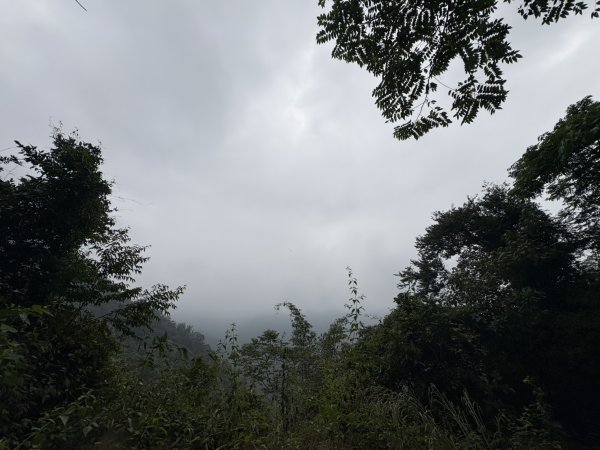 20251108西阿里關山步道(小林村東側登山口啟登)2933481