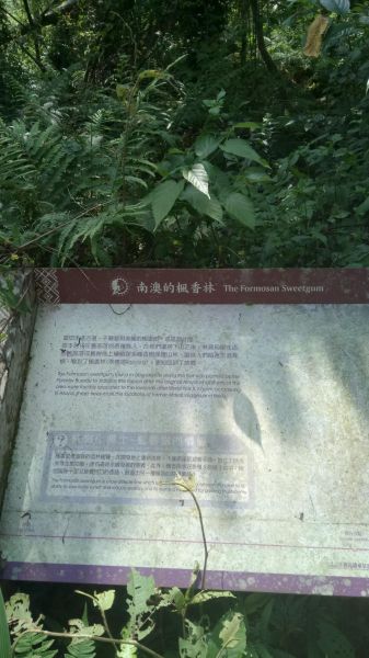 南澳古道及東澳粉鳥林一日遊291153