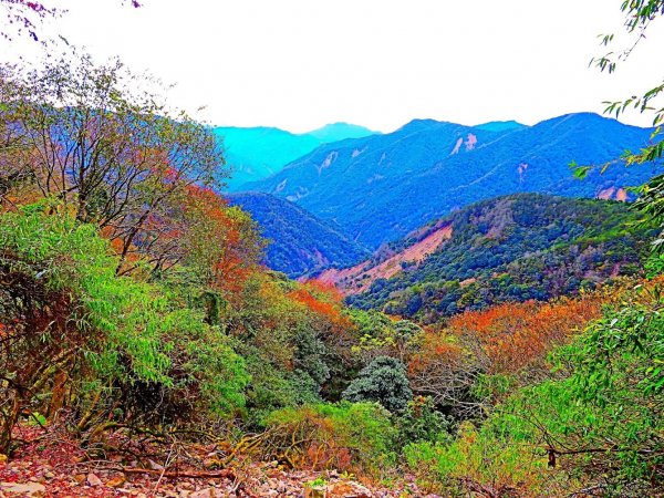 阿里山尋石山，五彩繽紛的石山引水道792488