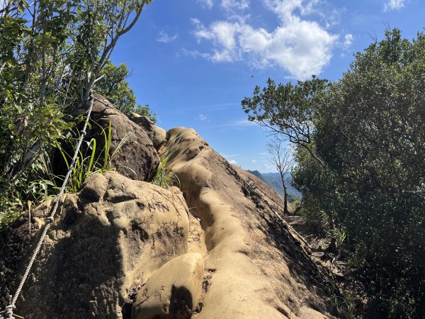 [微笑山線_第九段] 2025_0914 二格山系_皇帝殿東峰2889485