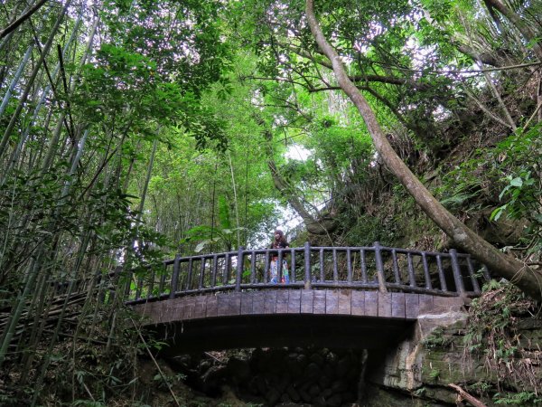 苗栗大湖 伯公潭古圳道1754320