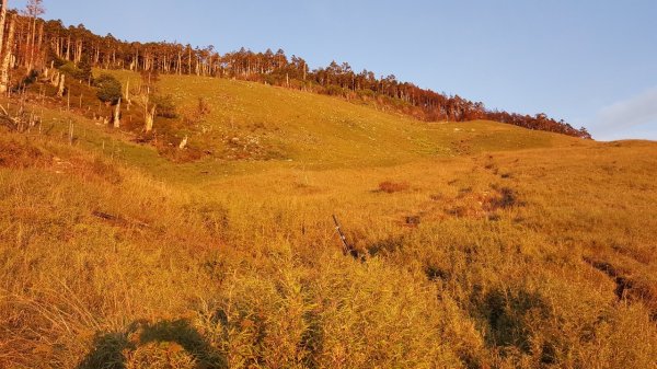 雪山之美，翠池仙境642553