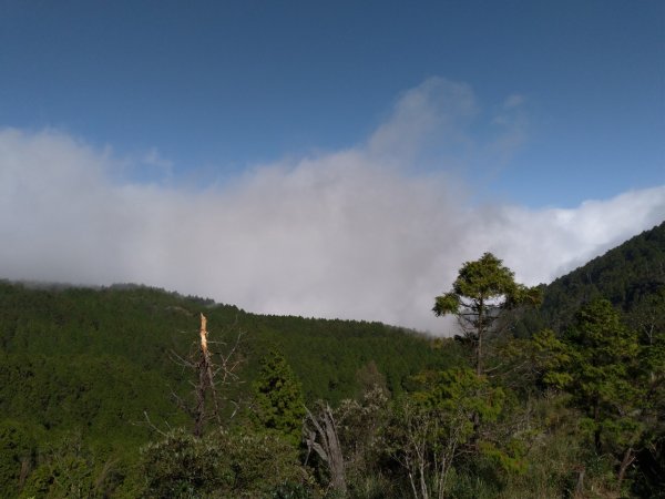 湖光山色－翠峰湖環山步道708049