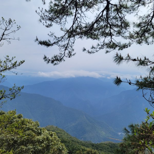 東洗水山2454207