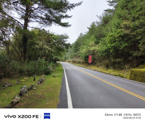 [玉山尋寶任務-06/12] 2025_0823 東埔山步道2870126