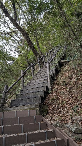 波津加山步道3021251