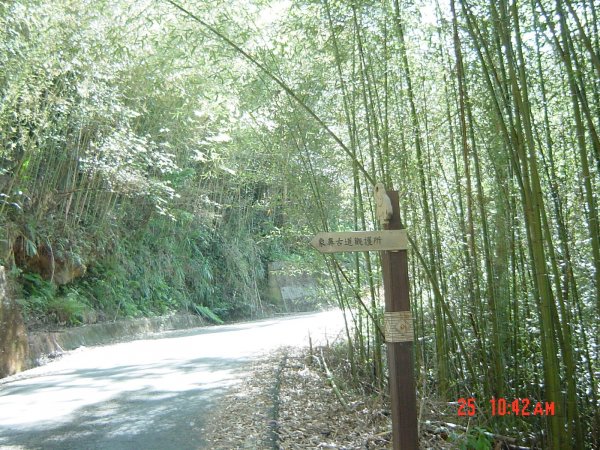 象鼻古道_苗栗泰安象鼻部落200711241954769