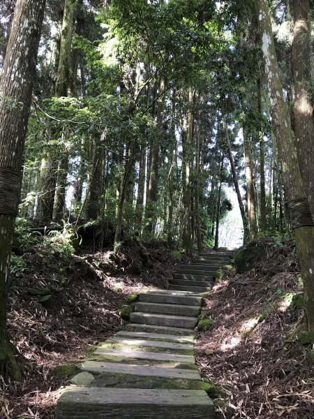 109年7月12日嘉義大凍山1040050