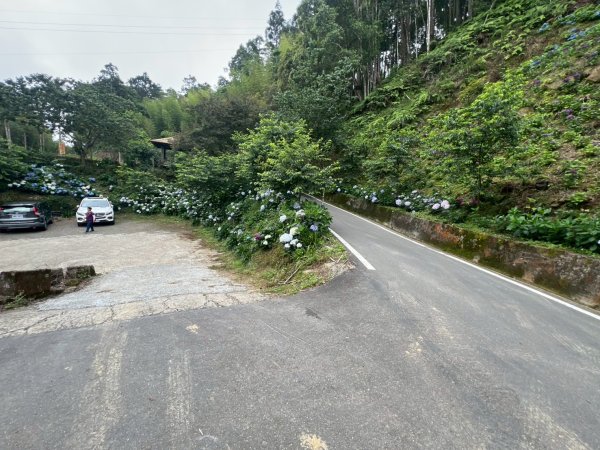 嵐山再古坑。五元兩角 木馬古道2806240