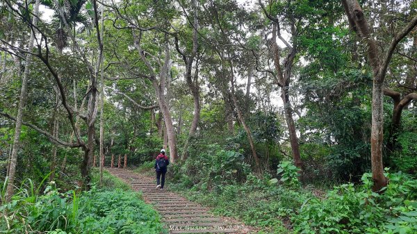 《彰化》古意人文｜員林18觀音O繞大峰巷挑水古道202504122759464