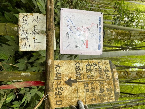 大湖尖山、天雲山，文峰山O型縱走1740179