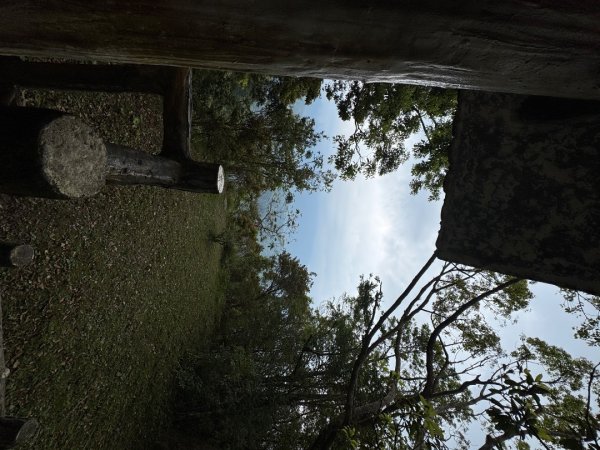 2025/04/04小百岳第022「東眼山」2753262