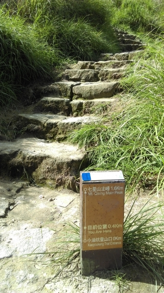 小油坑-七星山主峰-東峰 105.7.652068