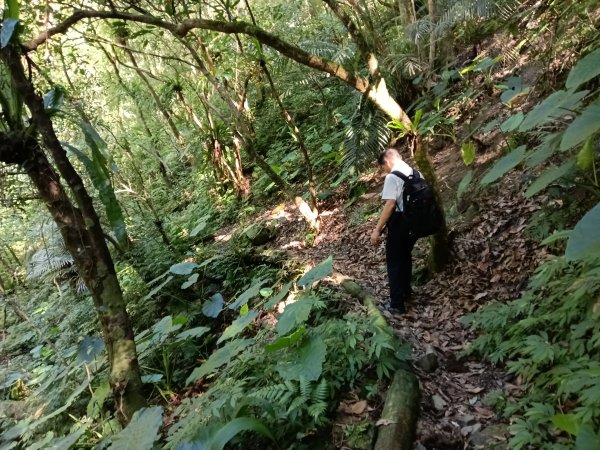 坪林區南闊瀨行(枋山坑古道+枋山坑崙+闊瀨越嶺保甲路O型)2916760