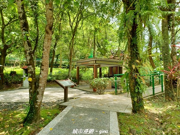 【花蓮壽豐】秀麗山景。 池南國家森林遊樂區森林浴步道2266009