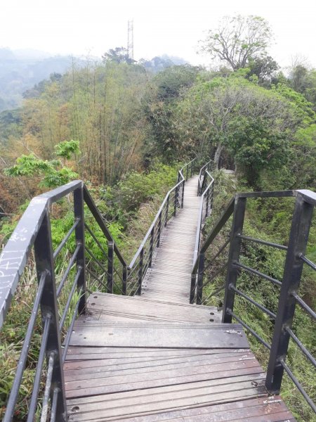 雲林林內龍過脈森林步道20190323550610