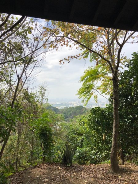 2019.01.19 三汀山509697