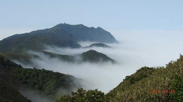 陽明山包場再見雲海04161350957