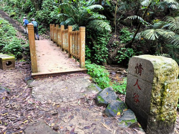 2026-05-02 鳴鳳古道步道群封面