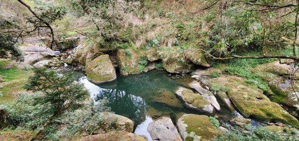 2023-01-01杉林溪青龍蕨類步道(青龍瀑布)、松瀧岩瀑布及天地眼步道1978861