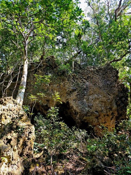 墾丁國家森林遊樂區步道群-(屏東)臺灣百大必訪步道2731247