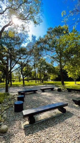 大湳森林公園2817287