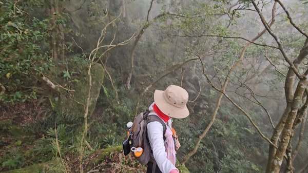 馬武督山西南峰+馬武督山O型走3012855
