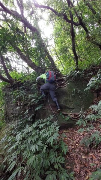 楓樹湖古道登面天北稜上面天山2782254