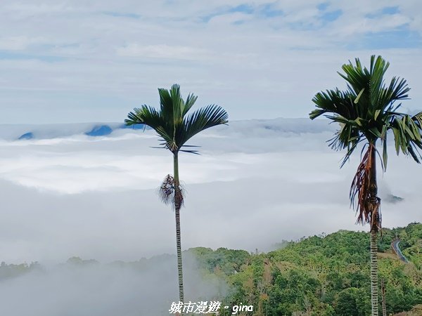 【台南。 楠西】滿滿的雲海太驚豔。 小百岳集起來。 編號67小百岳~竹子尖山步道1605907