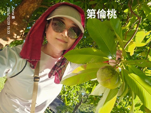 20251229石龜坑山上白石山下白石埤O走+阿姆坪2976743