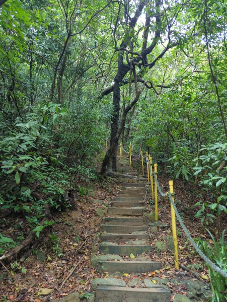 2025.09.07－金面山2880199