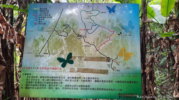 《台中》觀九九峰｜霧峰青桐林生態步道群202511092932219