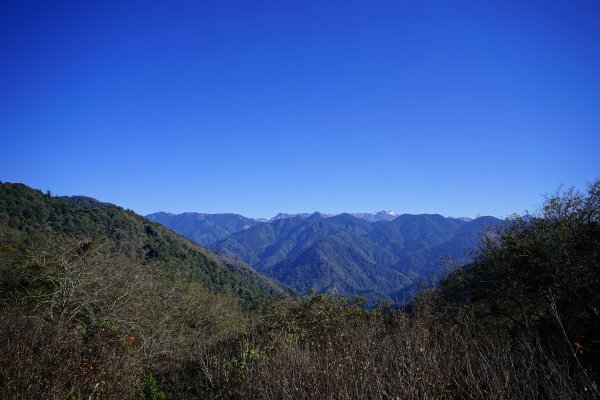 【沒有】【倚天劍】2985259