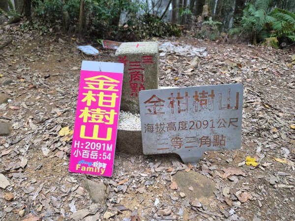 小百岳No.54⛰金柑樹山3119939