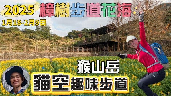 2025貓空樟樹步道花海搶先看，展期：1月18-2月9日，喜歡小冒險可以挑戰攀爬路線猴山岳。2691454
