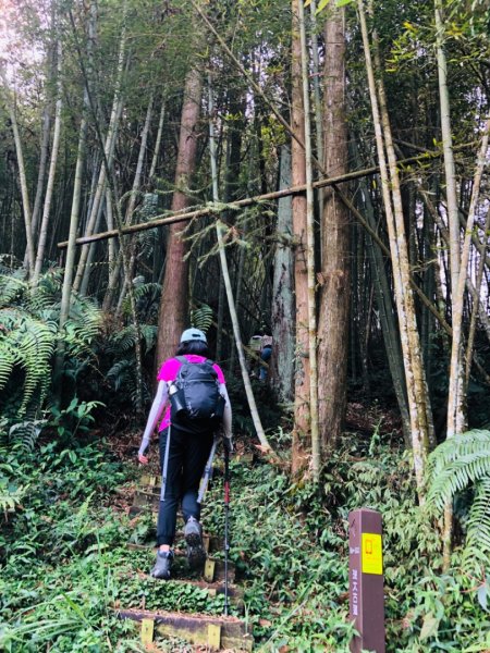 1090403奮瑞古道0907雲載山901714