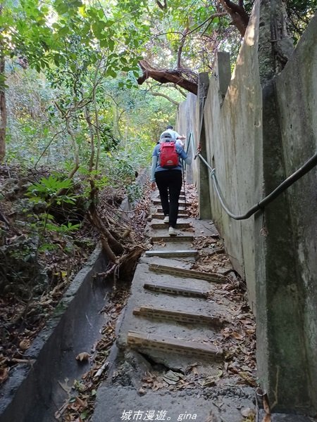 【高雄。鼓山】高雄最大的一塊自然林地。 小百岳集起來。 編號77小百岳-壽山1533572