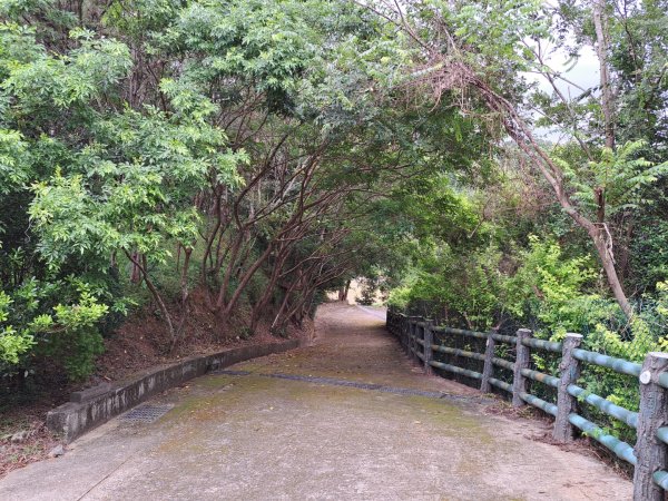 2026森遊竹縣：寶山迴龍步道，環湖步道3107260