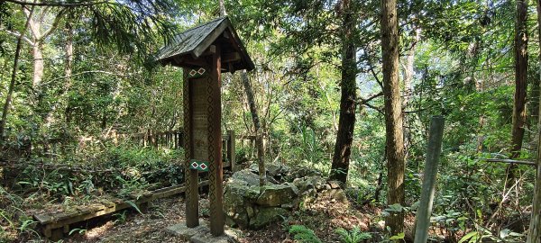 2026/05/31_白蘭溪古道O型3066876