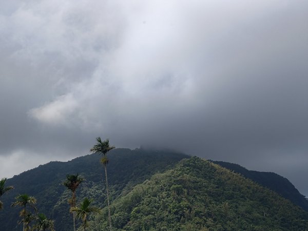 華山4-2號步道上雲嘉連峰2579348