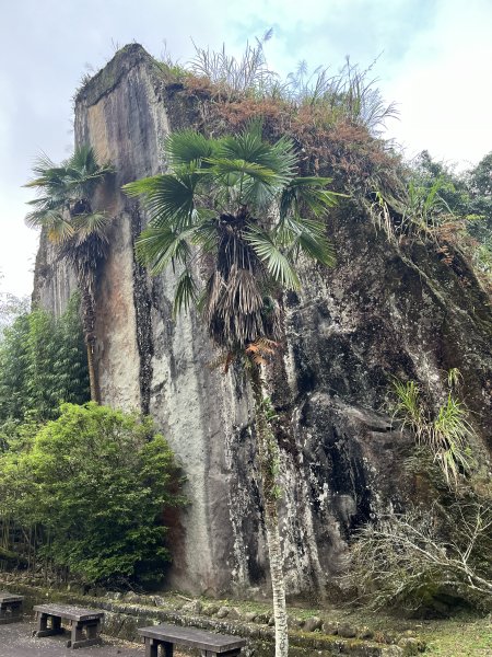 [嘉遊好步道．來嘉走走-04/10] 2024_1011 阿里山頂湖步道2624727