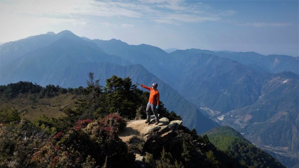 山行漫遊郡大林道上的清水金子郡大三美山1341623