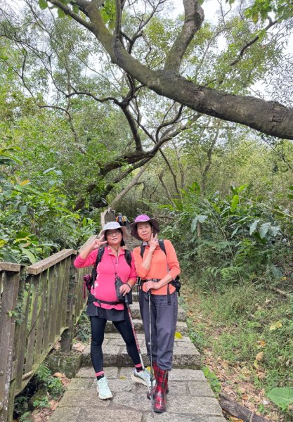 南港山(小百岳#13)/中華科技大學南港山來回2938337