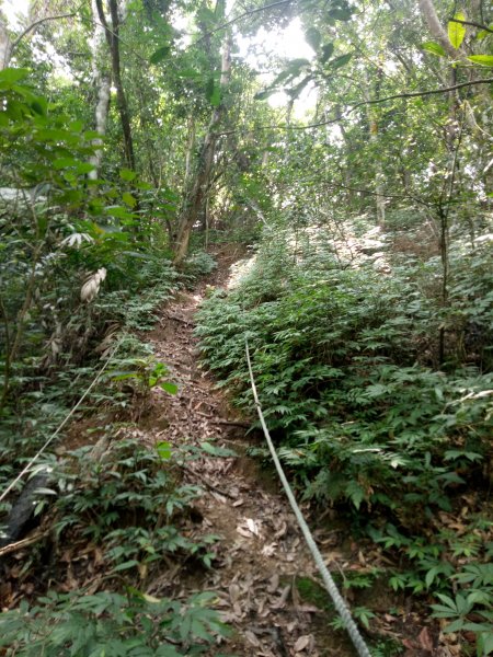 金童山、玉女山、汶水山連走1848035